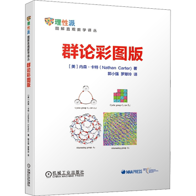 群论彩图版 内森 卡特 郭小强 罗翠玲 初级课程 观察魔方 晶体学 数字群 代数定义 青少年数列微积分解析几何数学建模趣味数学学习