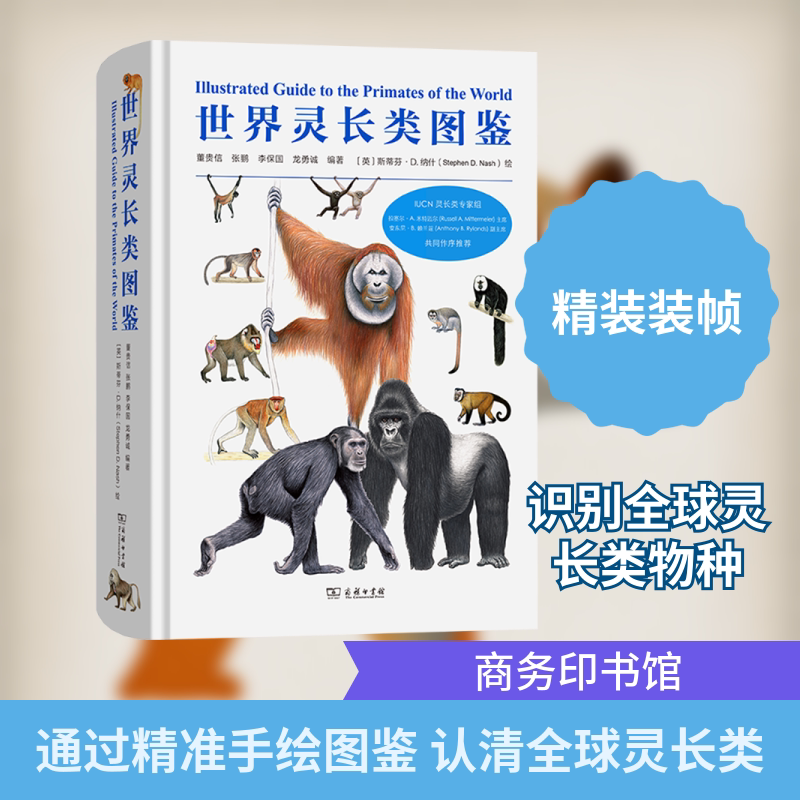 世界灵长类图鉴 董贵信 等 编著 编 (英)斯蒂芬·D.纳什 绘 绘 动物专业科技 新华书店正版图书籍 商务印书馆