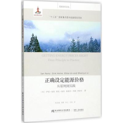 正确设定能源价格 (美)伊恩·帕里(Ian Parry) 等 著；张彦通 等 译 各部门经济经管、励志 新华书店正版图书籍