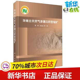华南古天然气渗漏沉积型锰矿 周琦,杜远生 等 著 矿业技术专业科技 新华书店正版图书籍 科学出版社