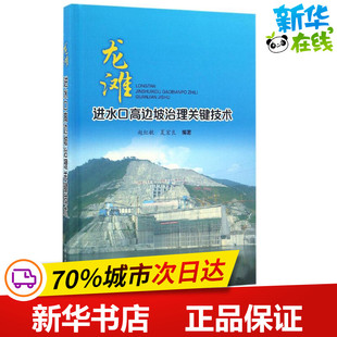 龙滩进水口高边坡治理关键技术 赵红敏,夏宏良 编著 著作 建筑/水利（新）专业科技 新华书店正版图书籍 中国水利水电出版社