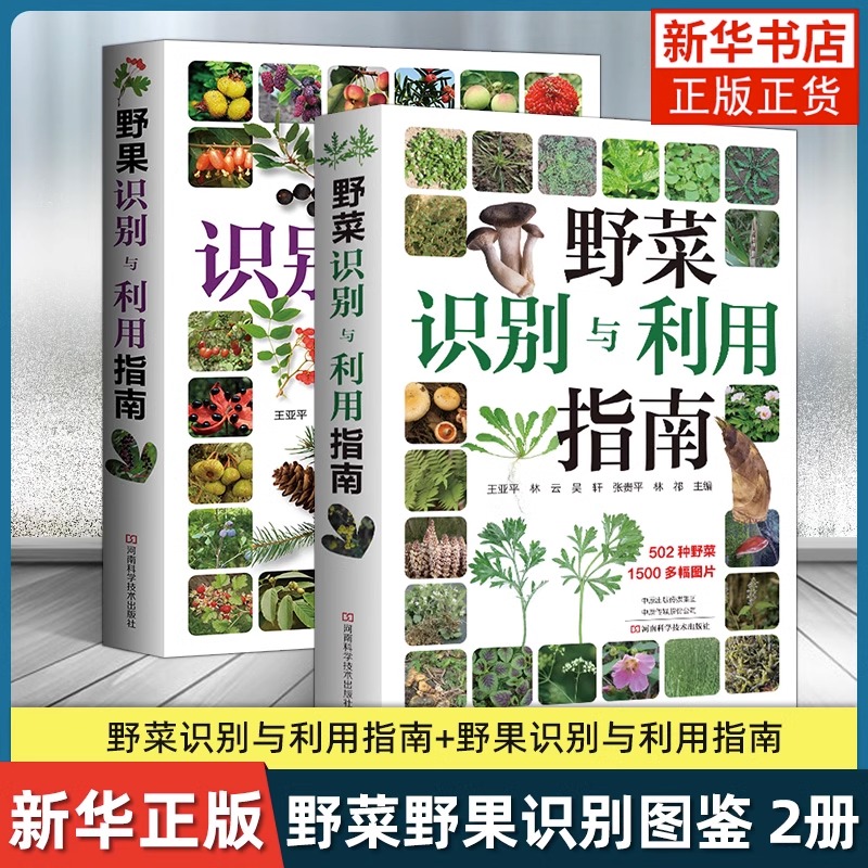 野菜识别与利用指南+野果识别与利用指南全2册王亚平林祁常见野菜野果野外识别速查图鉴植物分类生长习性野菜野果的食用方法