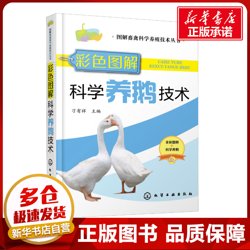 彩色图解科学养鹅技术 刁有祥 主编 著 刁有祥 编 畜牧/养殖专业科技 新华书店正版图书籍 化学工业出版社