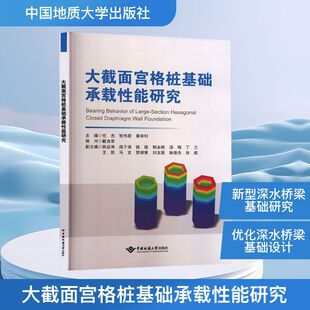 大截面宫格桩基础承载性能研究 任杰,张伟丽,崔林钊 主编 编 交通/运输专业科技 新华书店正版图书籍 中国地质大学出版社