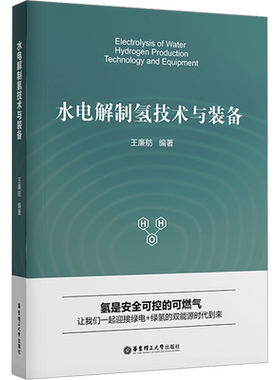 水电解制氢技术与装备 王廉舫 编 化学工业专业科技 新华书店正版图书籍 华东理工大学出版社