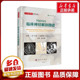 Haines临床神经解剖图谱 中文翻译版 第10版 (美)杜安·E.海恩斯(Duane E. Haines) 编 张力伟 译 外科学生活 新华书店正版图书籍