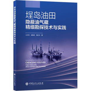 埕岛油田隐蔽油气藏精细勘探技术与实践 王志伟,武群虎,周红科 著 石油 天然气工业专业科技 新华书店正版图书籍 中国石化出版社