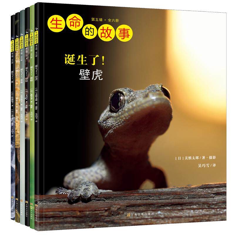 生命的故事 第五辑(全6册) (日)新开孝 著 吴巧雪 译 科普百科少儿 新华书店正版图书籍 上海文化出版社