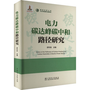 电力碳达峰碳中和路径研究 舒印彪 编 电工技术/家电维修专业科技 新华书店正版图书籍 中国电力出版社