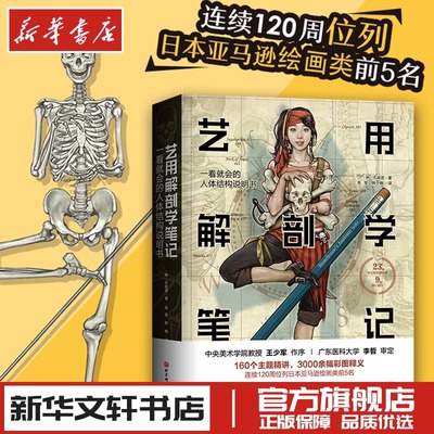 艺用解剖学笔记石政贤著