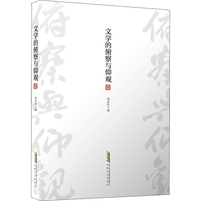 文学的俯察与仰观 钱念孙 著 文学理论/文学评论与研究文学 新华书店正版图书籍 安徽文艺出版社