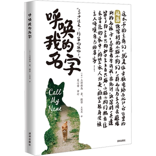 呼唤我的名字 (日)上村雄高 著 王思思 译 外国小说文学 新华书店正版图书籍 海天出版社