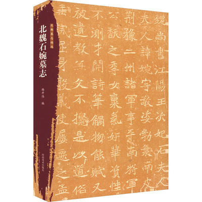 北朝墓志精选 北魏石婉墓志 杨开伟 编 书法/篆刻/字帖书籍艺术 新华书店正版图书籍 河南美术出版社