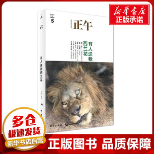 正午5:有人送我西兰花 正午故事 著 现代/当代文学文学 新华书店正版图书籍 台海出版社