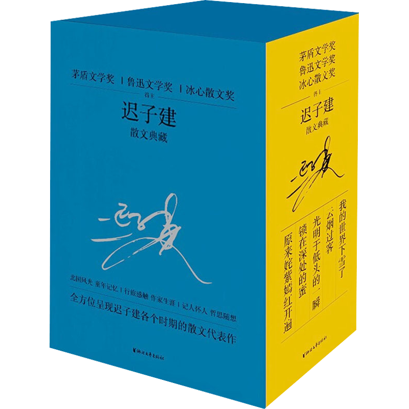 迟子建散文典藏全5册 茅盾文学奖得主散文自选集我的世界下雪了原来姹紫嫣红开遍云烟过客光明于低头的一瞬锁在深处的蜜新华文轩