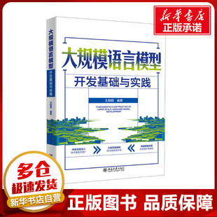 大规模语言模型开发基础与实践 王振丽 编 计算机控制仿真与人工智能专业科技 新华书店正版图书籍 北京大学出版社