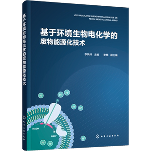 基于环境生物电化学的废物能源化技术 李凤祥 编 环境科学专业科技 新华书店正版图书籍 化学工业出版社