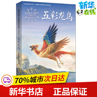 五彩龙鸟 沈石溪 著 任保海 绘 著 任保海 绘 儿童文学少儿 新华书店正版图书籍 人民邮电出版社