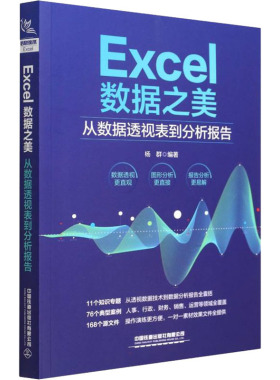 Excel数据之美 从数据透视表到分析报告 杨群 编 办公自动化软件（新）专业科技 新华书店正版图书籍 中国铁道出版社有限公司