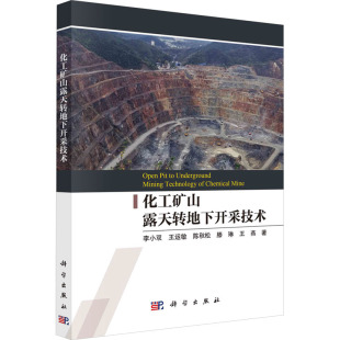 化工矿山露天转地下开采技术 李小双 等 著 矿业技术专业科技 新华书店正版图书籍 科学出版社