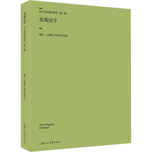 美哉汉字 王静艳,计国彦,孙明远 编 设计艺术 新华书店正版图书籍 上海人民美术出版社
