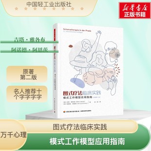 原著第二版 工作模型应用指南 疗法临床实践：模式 万千心理.图式