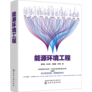 能源环境工程 廖传华 等 著 能源与动力工程专业科技 新华书店正版图书籍 化学工业出版社