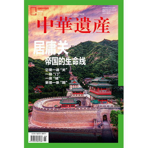 新华书店正版 期刊杂志-大众科普