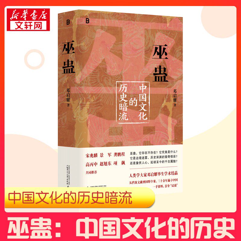 巫蛊 中国文化的历史暗流 邓启耀 叫魂拆姻炼蛊扎小人斗风水等揭开背后的真相 一部长达几千年的中国文化史书籍 广西师范大学出版