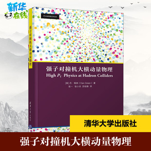 强子对撞机大横动量物理 (美)丹·格林 著 张一,张小兵,苏桂锋 译 物理学专业科技 新华书店正版图书籍 清华大学出版社