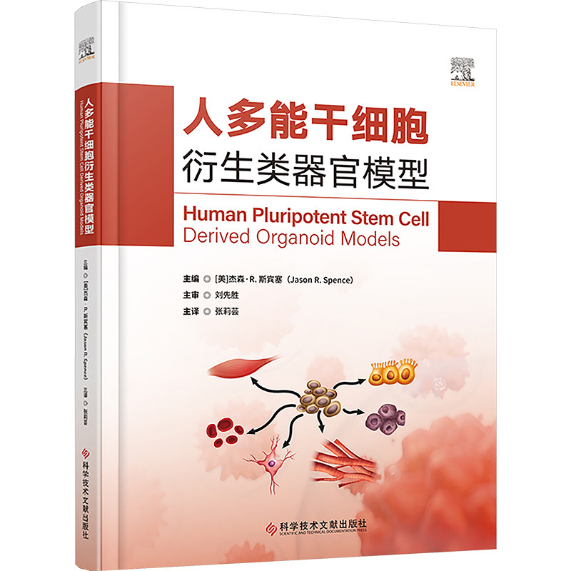 新华书店正版 外科