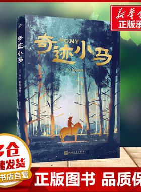 奇迹小马 R.J.帕拉西奥 著 和铃 译人民文学出版社 儿童文学小学生一年级二年级三年级课外书正版寒假暑假推荐阅读