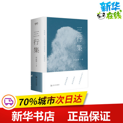 三行集 张新颖 著 中国现当代诗歌文学 新华书店正版图书籍 上海文艺出版社