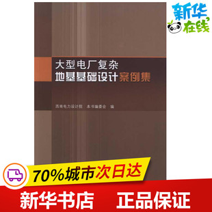 大型电厂复杂地基基础设计案例集 西南电力设计院 著 建筑/水利（新）专业科技 新华书店正版图书籍 中国建筑工业出版社
