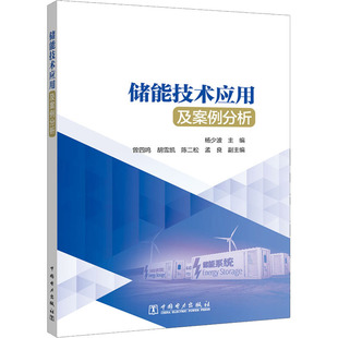 中国电力出版 储能技术应用及案例分析 社 新华书店正版 编 图书籍 能源与动力工程专业科技 杨少波