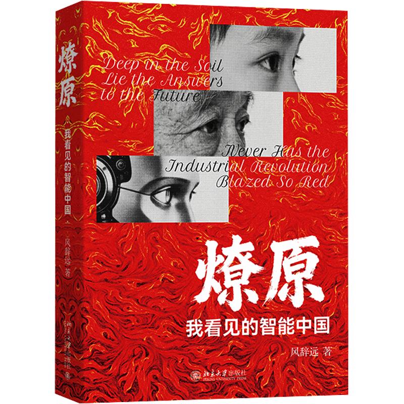 燎原：我看见的智能中国 风辞远 著 计算机控制仿真与人工智能专业科技 新华书店正版图书籍 北京大学出版社