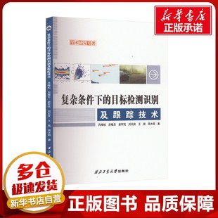 复杂条件下的目标检测识别及跟踪技术 吕梅柏 等 著 图形图像/多媒体（新）专业科技 新华书店正版图书籍 西北工业大学出版社