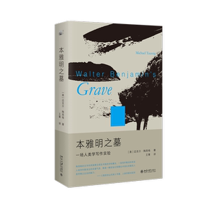 本雅明之墓 一场人类学写作实验 (美)迈克尔·陶西格 著 王菁 译 宗教理论经管、励志 新华书店正版图书籍 北京大学出版社