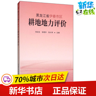 黑龙江省伊春市区耕地地力评价 张含生,张艳华,张大伟 编 农业基础科学专业科技 新华书店正版图书籍 中国农业出版社
