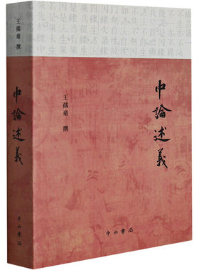 中论述义 王孺童 佛教文学 新华书店正版图书籍 中西书局
