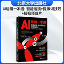 即梦AI 可灵AI 编 提示词技巧 计算机控制仿真与人工智能艺术 编著 短视频成片 木白 AI运镜一本通：智能运镜 海螺AI