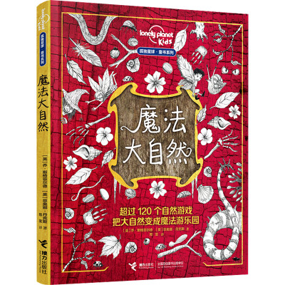 魔法大自然 (英)乔·斯格菲尔德,(英)菲奥娜·丹克斯 著 邢雯 译 科普百科少儿 新华书店正版图书籍 接力出版社