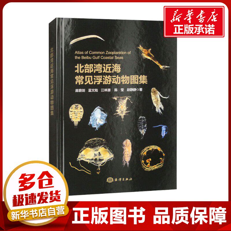 北部湾近海常见浮游动物图集 庞碧剑 等 著 生命科学/生物学专业科技 新华书店正版图书籍 海洋出版社