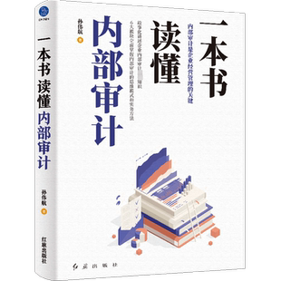一本书读懂内部审计 孙伟航 著 统计 审计经管、励志 新华书店正版图书籍 红旗出版社