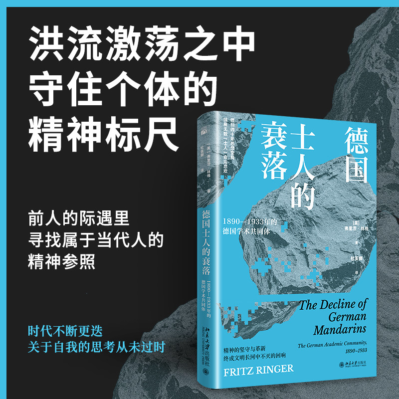 德国士人的衰落 (美)弗里茨·林格 著 杜美娜 译 欧洲史社科 新华书店正版图书籍 北京大学出版社