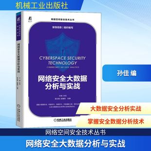 网络通信 新 机械工业出版 孙佳 社 图书籍 编 新华书店正版 网络安全大数据分析与实战 专业科技