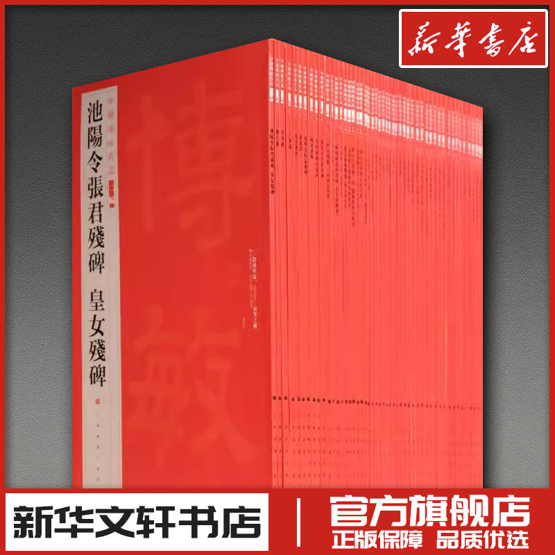 新华书店正版 毛笔书法