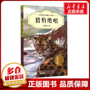 猎豹绝唱 沈石溪 等 著 著 儿童文学少儿 新华书店正版图书籍 安徽少年儿童出版社