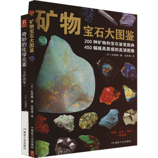 看图认知世界(套装)矿物宝石大图鉴+奇妙的化学元素(全2册) (日)松原聪 等 著 张思维 等 译 社会实用教材专业科技