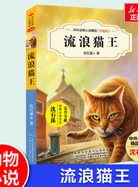 流浪猫王 第四辑 沈石溪动物小说全集正版中外精品小学生三年级四年级课外书10-12-15周岁小学生课外阅读书籍动物世界